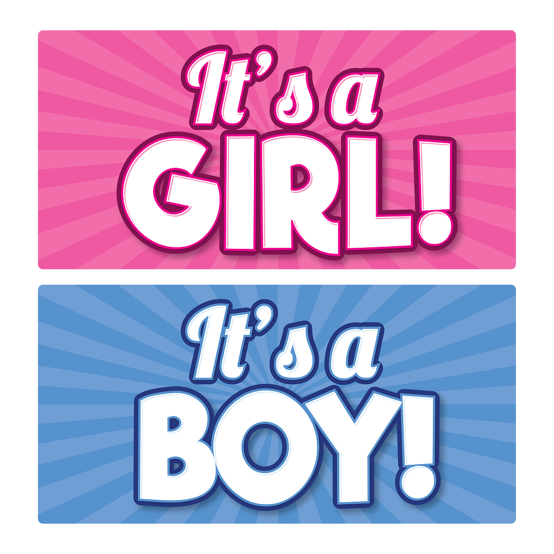 Baby Shower Photo Booth Props Set - close-up of prop signs by King Props