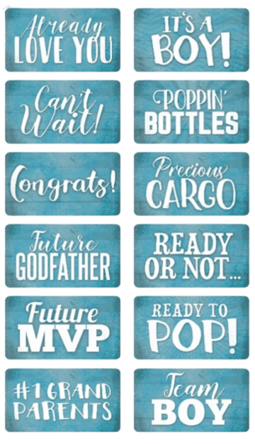 Baby Shower Props Set - "It's a Boy"
