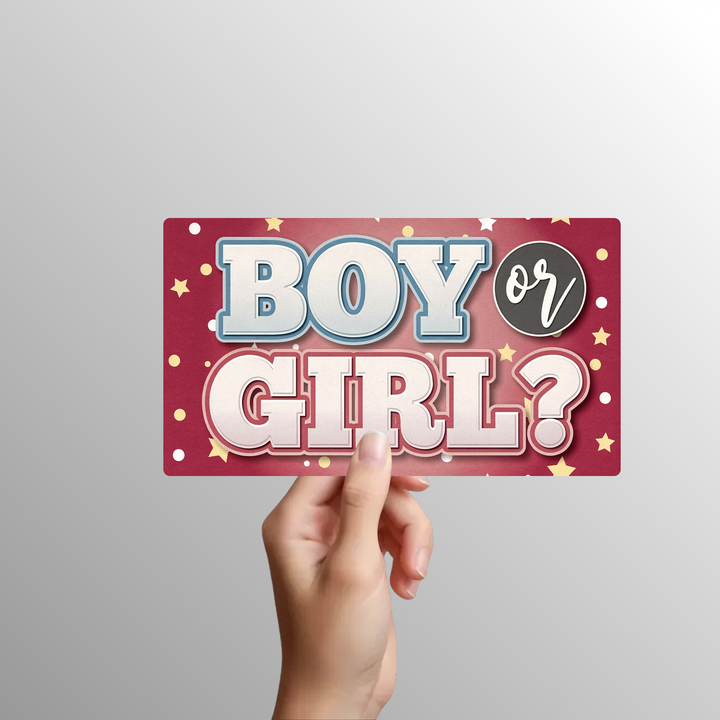 Gender Reveal Photo Booth Props Set – 12 Signs