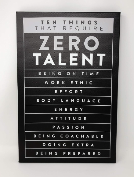 Zero Talent | Motivational Sign Easel Back