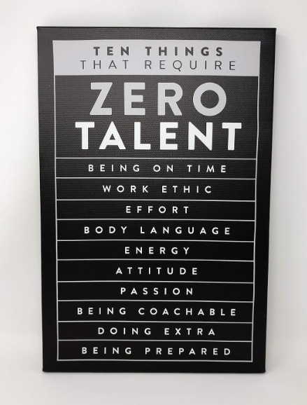 Zero Talent | Motivational Sign Easel Back

