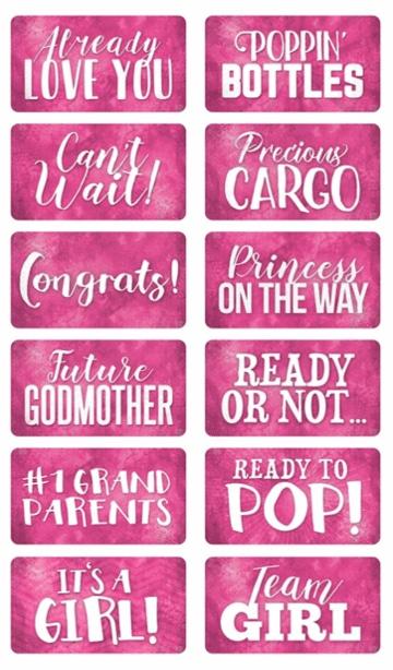 Lovely Baby Shower Photo Booth Props for Girls | King Props