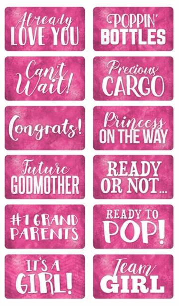 It's a Girl Photo Booth Props Set – 6pc - props in use at event by King Props